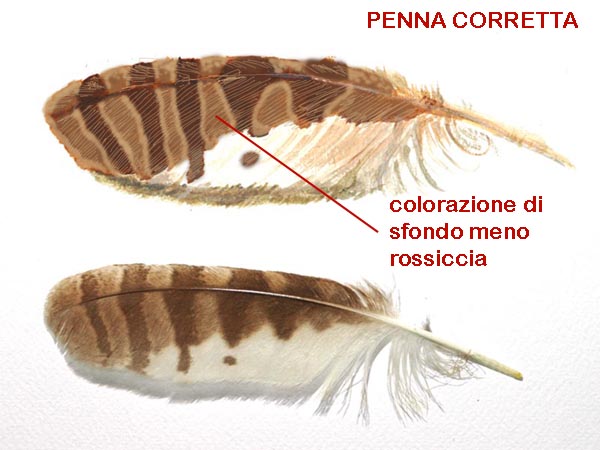 correzioni della seconda lezione